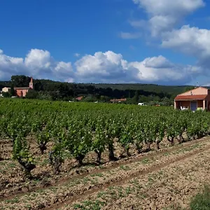  Hébergement de vacances Au Milieu Des Vignes